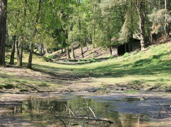 Randonnée A pied Aglasterhausen - Rundwanderweg Aglasterhausen 1: Falchengrund-Weg - Photo