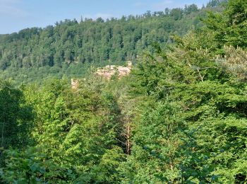 Tocht Stappen Lembach - Lembach Les 4 Châteaux - Photo