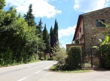 Percorso A piedi Greve in Chianti - Anello di Cintoia - Photo