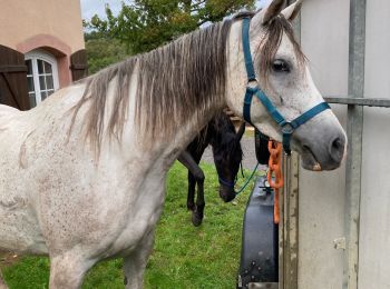 Randonnée Randonnée équestre Moyenmoutier - Chez Manu 1ere sortie des jeunes  - Photo