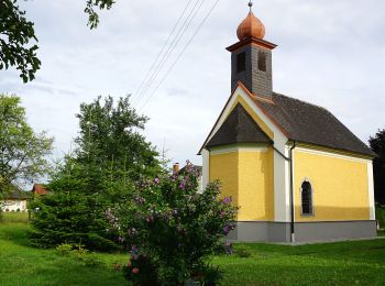 Tour Zu Fuß Naarn im Machlande - Aulehrpfad - Photo