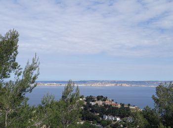 Randonnée Marche Marseille - Marseilleveyre - Photo