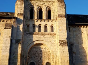 Tour Wandern Gennes-Val-de-Loire - Cunault  - Photo