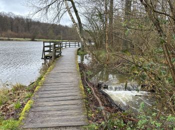 Randonnée Marche Oud-Heverlee - Zoet Water 15,4 Km - Photo
