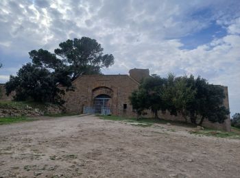 Percorso Marcia Le Pradet - les 3 forts depuis la plage de la Garonne  - Photo