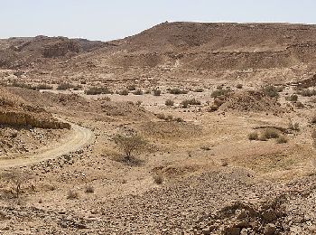 Randonnée A pied Conseil régional de Ramat Negev - ציר הנפט - Photo