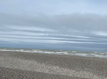 Randonnée Vélo électrique Cayeux-sur-Mer - La pointe du hourdel et Cayeux-sur-Mer sur mer - Photo