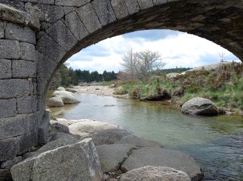 Randonnée A pied Vialas - Au long du Tarn: de Mas de la Barque à Pont de Montvert - Photo