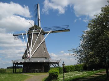 Randonnée A pied Kampen - WNW IJsseldelta - d'Olde Zwarver - paarse route - Photo