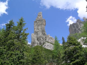 Trail On foot Pieve di Cadore - IT-389 - Photo