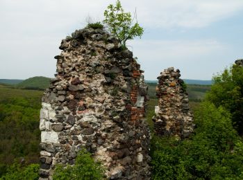 Tour Zu Fuß Buják - Bujáki Erdészeti Tanösvény - Photo