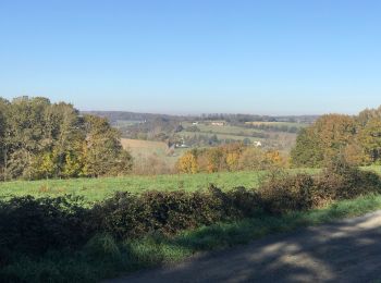 Randonnée Course à pied Mondoubleau - Mondoubleau - Roclane  - Photo