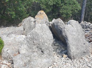 Tour Wandern Saint-Martin-d'Ardèche - St Martin d'Ardèche  - Photo