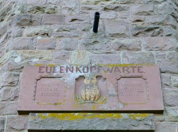 Randonnée A pied Rodenbach - Eulenkopftour - Photo