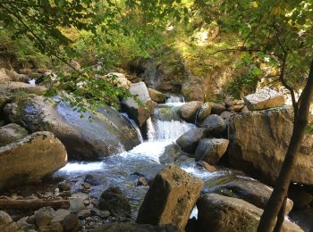 Tour Wandern Thuès-Entre-Valls - La Carança (Thues-entre-Valls) - Photo