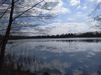 Trail Walking Saint-Loup-sur-Semouse - 18-04-23 étangs Roupoix et Augronne - Photo