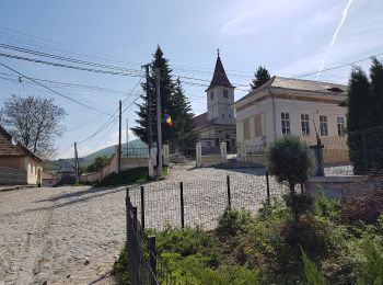 Percorso A piedi Sconosciuto - Turnu Roșu - Dl. Frasinul - Culmea Pietriceaua (traseul CR) - Photo