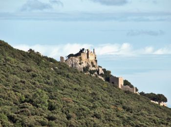 Tocht Stappen Cazevieille - le pic Saint Loup / chateau Montferrand par les crêtes  - Photo