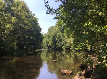 Tour Wandern Lignerolles - Gorges du Cher - Photo