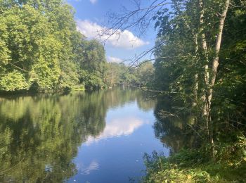 Tour Wandern Cugand - Clisson - Photo