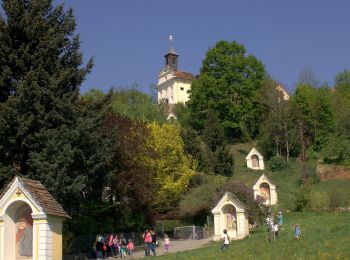 Excursión A pie Hartberg - Hartberger Höhenweg - Photo