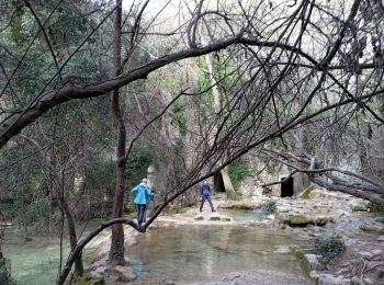 Trail Walking Lauret - Lauret le 27 02 2022 - Photo