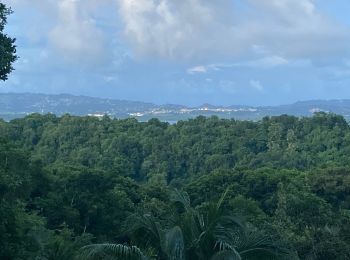 Tour Wandern Les Trois-Îlets - Anse Mitan Esperance passemontemps anse à L’ane  - Photo