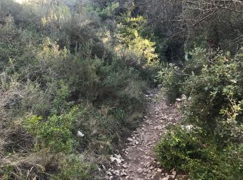 Trail Walking Mérindol - Les Borrys - Photo