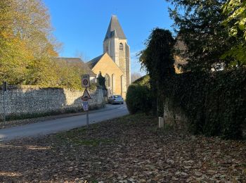 Tour Wandern Sablons sur Huisne - Condeau le. 11/11/2021 - Photo