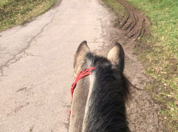 Tour Reiten Sainte-Barbe - Affaya boucle innutile 1 - Photo