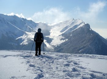 Tour Schneeschuhwandern Jarsy - 2021-01-08 - Photo