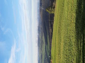 Tocht Stappen Salins-les-Bains - Salins les bains Poupet 15.5 km - Photo