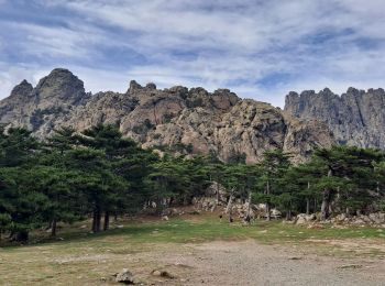 Randonnée Marche Quenza - Croix de Leccia - Photo