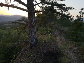 Tocht Mountainbike Digne-les-Bains - [PAT] Gaubert en nocturne - Photo