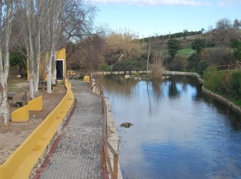 Randonnée A pied Coín - Sendero Camino de la Fuente - Photo