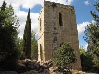 Tour Zu Fuß Regionalverwaltung Mateh Jehuda - שביל הדסה - Photo