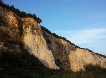 Randonnée A pied Gemeinde Bad Vöslau - TVN Rundwanderweg Vöslauer Hütte - Photo