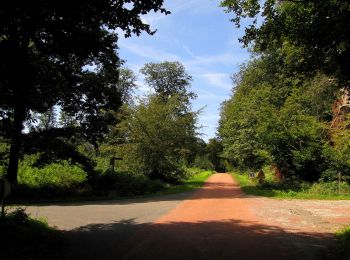 Randonnée Marche Haramont - en forêt de Retz_79_08_2019_vers Taillefontaine et Retheuil par les lisières - Photo