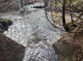 Randonnée Marche Libin - Reconnaissance des différents parcours marche ADEPS de Villance. - Photo