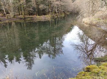 Tocht Stappen Urbès - Urbès - Photo