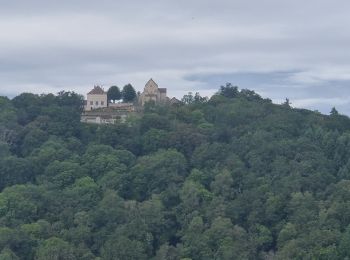 Tocht Stappen Saint-Georges-Nigremont - Le tour de Nigremont - Photo