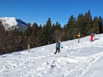 Randonnée Raquettes à neige Plateau-des-Petites-Roches - pravouta raquettes. 16,12,23 - Photo