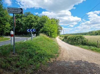 Trail Walking Coulommiers-la-Tour - Les Bois d'Huchigny, des Péseries et de Villemalin - Photo