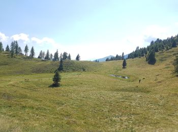 Trail On foot Roncegno Terme - IT-E372B - Photo