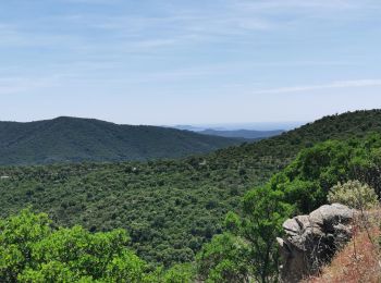 Tour Wandern Bormes-les-Mimosas - Vallons de la Gourre et des Caunes  - Photo