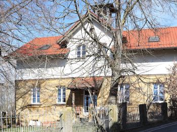 Randonnée A pied Weißenbrunn - Wildenberger Buchenweg (Kronach) - Photo