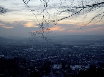 Tocht Te voet Sonneberg - Rundwanderweg Sonneberg - Photo