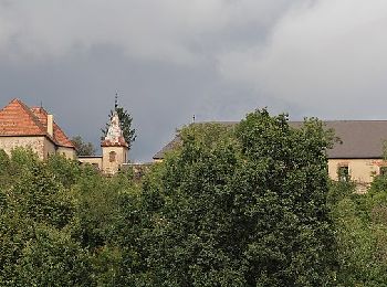 Randonnée A pied Dechantskirchen - Waldviertelweg (Weg D, 3,7 km) - Photo