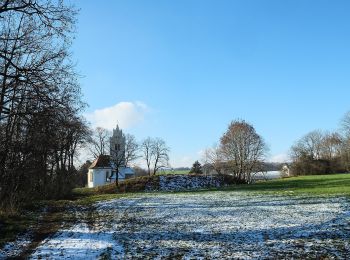 Tocht Te voet Ingoldingen - Rindenmoos: Wanderweg 2 - Photo