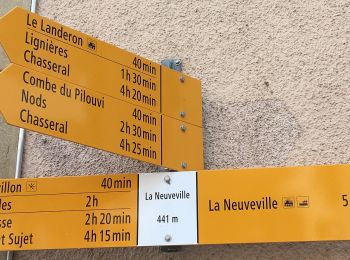 Trail On foot La Neuveville - Festi - fixme - Photo